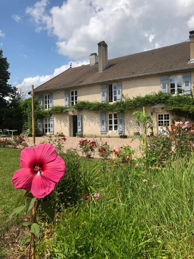 Dealettante Betaucourt Exteriér fotografie